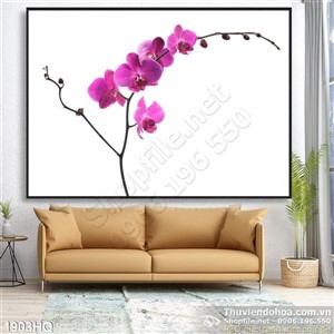 Tranh hoa Lan nghệ thuật độc đáo