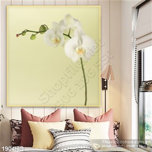 Tranh hoa Lan trang trí treo tường đẹp