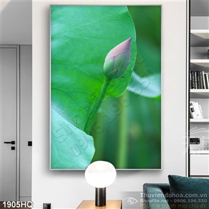 Tranh hoa Sen trang trí tường đẹp