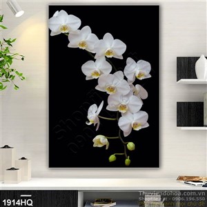 Tranh hoa Lan treo tường độc đáo