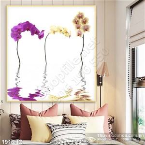 Tranh hoa Lan trang trí phòng đẹp