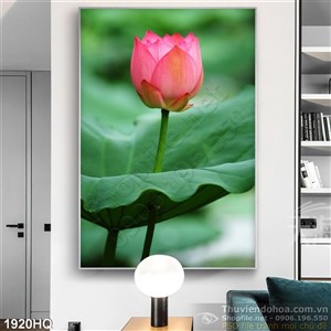 Tranh hoa Sen trang trí dán tường đẹp