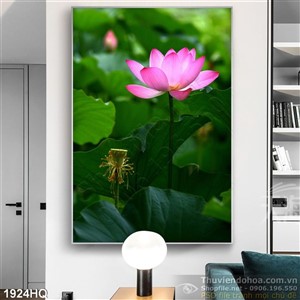 Tranh hoa Sen treo tường đẹp