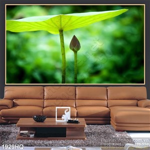 Tranh hoa Sen treo tường đẹp