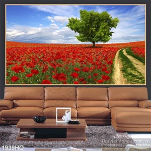 Tranh hoa Mỹ Nhân trang trí