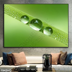 Tranh hoa lá trang trí độc đáo