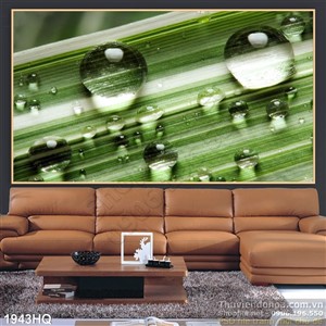 Tranh hoa lá trang trí phòng khách