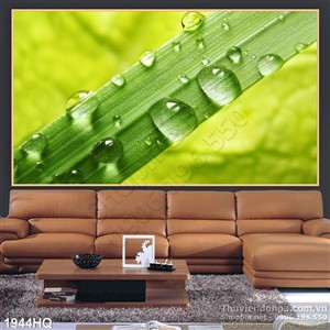 Tranh hoa lá nghệ thuật đẹp