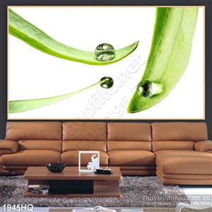 Tranh hoa lá trang trí dán tường đẹp