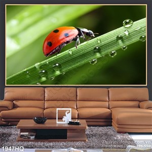 Tranh hoa lá treo tường đẹp