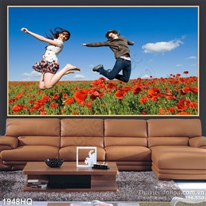 Tranh cánh đồng hoa Colico treo tường đẹp