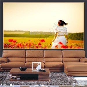 Tranh hoa Mỹ Nhân đẹp