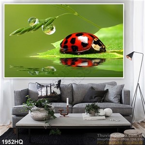 Tranh hoa lá trang trí đẹp độc đáo