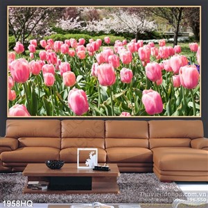 Tranh hoa tulip Châu Âu