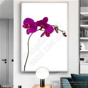 Tranh hoa lan treo tường nghệ thuật