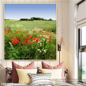 Tranh hoa Colico đẹp độc đáo