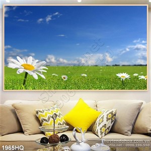 Tranh hoa Cúc đẹp