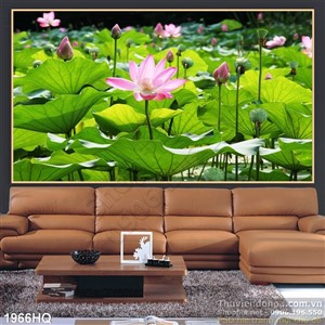 Tranh hoa Sen nghệ thuật treo tường