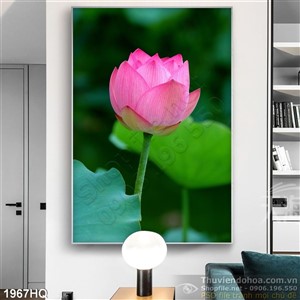 Tranh hoa Sen trang trí đẹp