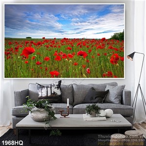 Tranh hoa Colico treo tường đẹp