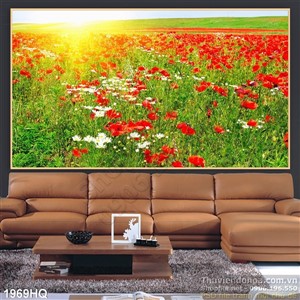 Tranh cánh đồng hoa Mỹ Nhân độc đáo