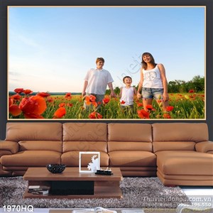 Tranh hoa Mỹ Nhân đẹp