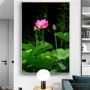 Tranh hoa Sen phong thủy treo tường phòng khách