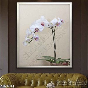 Tranh hoa hiện đại đẹp