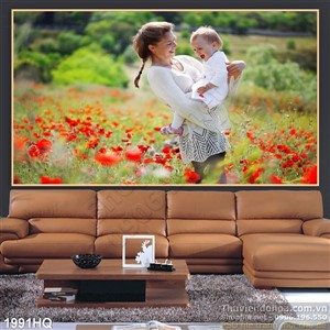 Tranh cánh đồng hoa Colico độc đáo