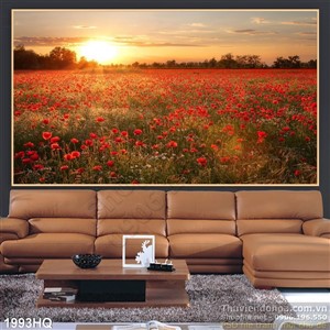 Tranh hoa Mỹ Nhân và hoàng hôn