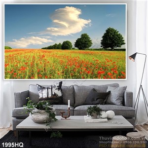 Tranh cánh đồng hoa Colico nghệ thuật