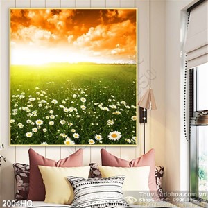 Tranh hoa Cúc treo tường phòng khách