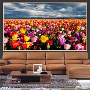 Tranh hoa tulip Châu Âu
