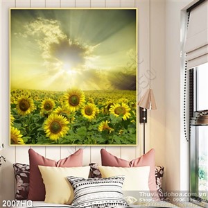 Tranh hoa hướng dương treo tường phòng khách