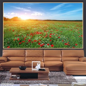 Tranh cánh đồng hoa Colico đẹp
