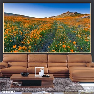 Tranh cánh đồng hoa Mỹ Nhân trang trí tường