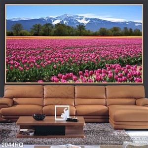 Tranh cánh đồng hoa tulip màu hồng