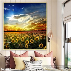 Tranh cánh đồng hoa hướng dương đẹp