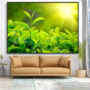 Tranh hoa lá cây chè đẹp