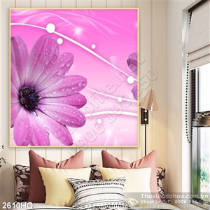 Tranh hoa đồng tiền trang trí nền đẹp