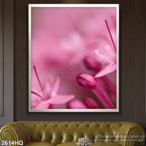 Tranh hoa lá nền độc đáo