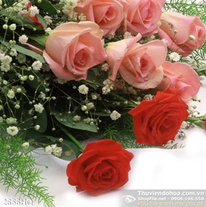 Tranh hoa lá Hoa Hồng nghệ thuật