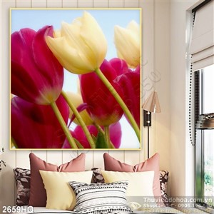 Tranh hoa tulip trang trí dán tường đẹp