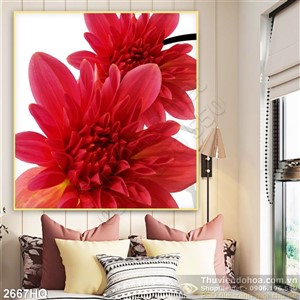 Tranh hoa Cúc treo tường nghệ thuật