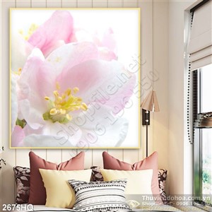 Tranh hoa Tulip trang trí treo tuu