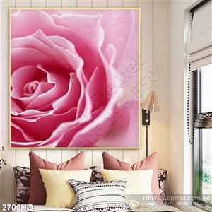 Tranh hoa Hồng hiện đại treo phòng khách