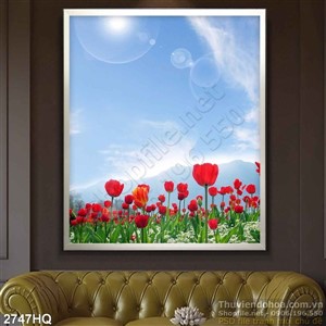 Tranh hoa Mỹ Nhân đẹp độc đáo