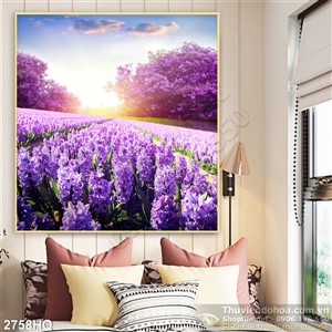 Tranh hoa Tiên ông  treo tường đẹp