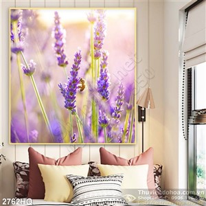 Tranh hoa  Lavender trang trí phòng ngủ