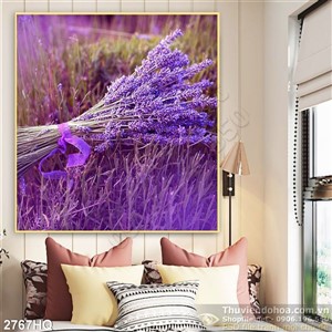 Tranh hoa Lavender đẹp trang trí phòng khách